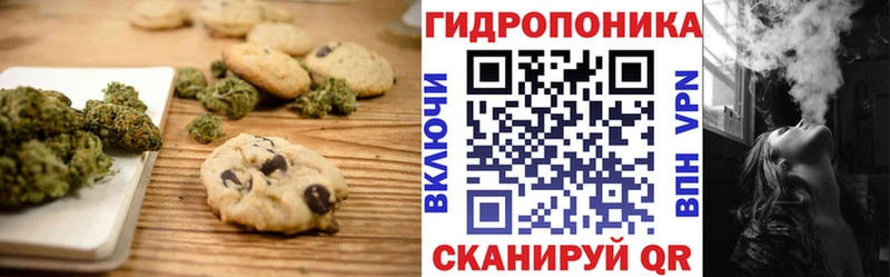 мориарти клад  Солигалич  Canna-Cookies конопля 