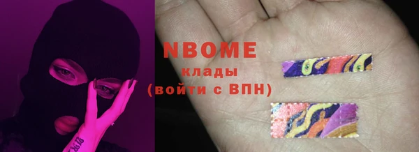 индика Осташков