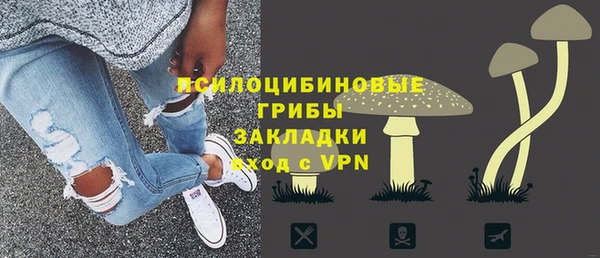 ALPHA PVP Остров