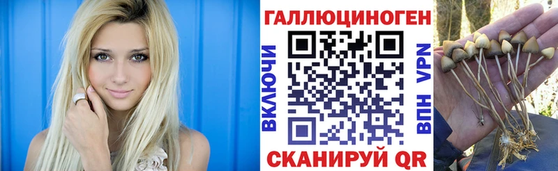 Галлюциногенные грибы Psilocybine cubensis  даркнет сайт  ОМГ ОМГ маркетплейс  Солигалич 